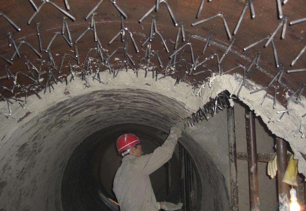 ����ʽ�ӟ�t�t�r�p��ԭ�򼰸��M��ʩ